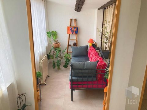 photo no. 12