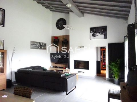 photo no. 6