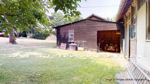 photo no. 18