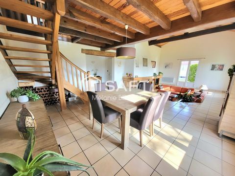 Maison contemporaine 4 chambres avec piscine sur grand terrain - Croix D'hins