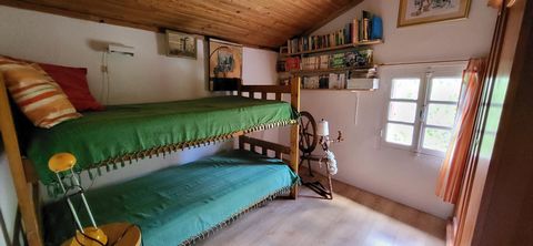 photo no. 14