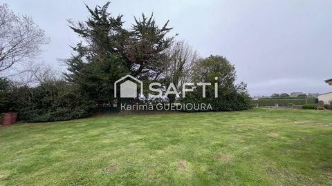 photo no. 9