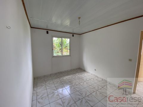 photo no. 11