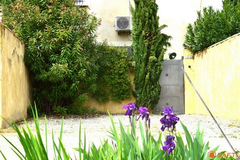 photo no. 13