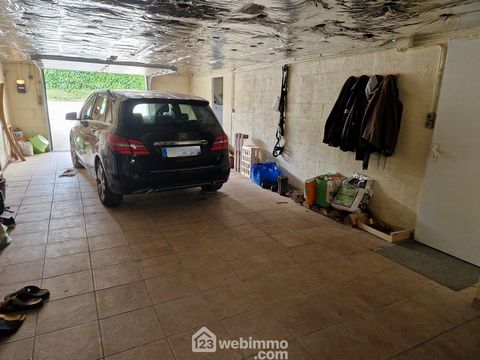 photo no. 11