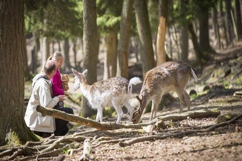Cozy Forest Escape with Family Comforts Located in the peaceful Baalse Hei region, this inviting ground-floor apartment offers the perfect blend of comfort and natural beauty. Guests can relax in the private garden, enjoy quiet mornings in the cozy l...