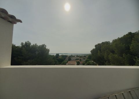 photo no. 1