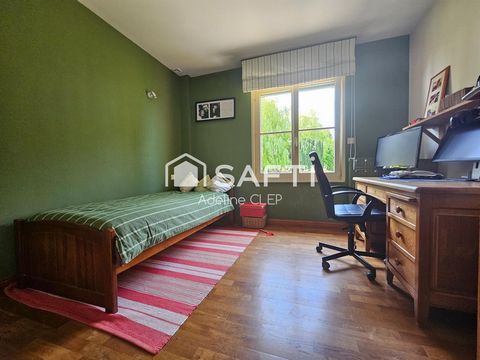 photo no. 12
