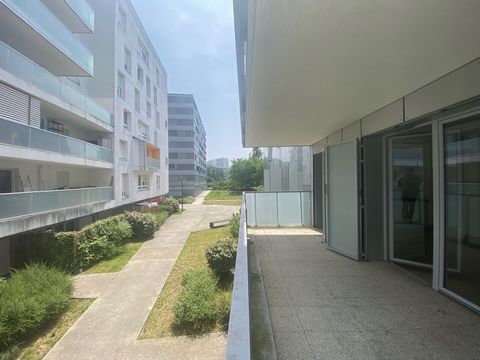 photo no. 2