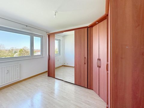 photo no. 12