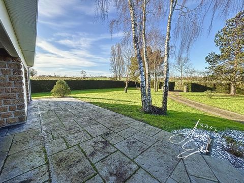 photo no. 10