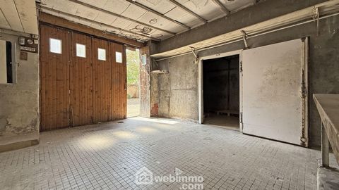 photo no. 8
