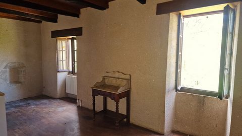 photo no. 9