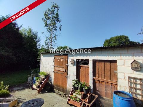 photo no. 3