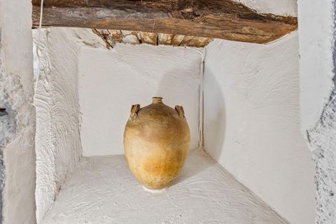 photo no. 6