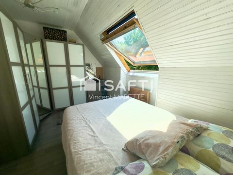 photo no. 7