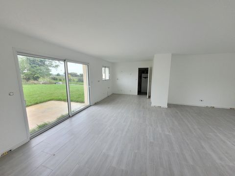 photo no. 12