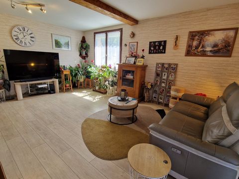 photo no. 12