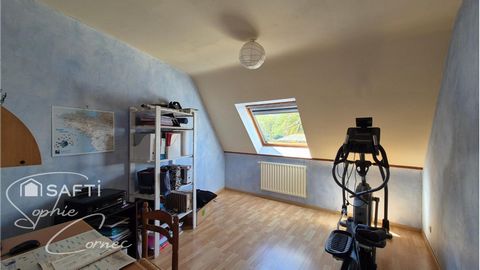 photo no. 12