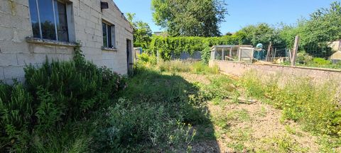 photo no. 12