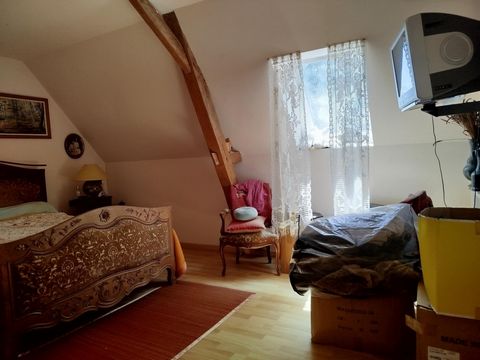 photo no. 7