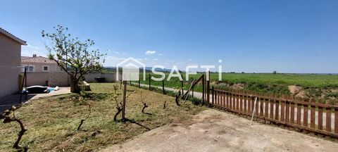 photo no. 13