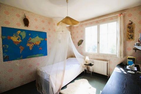 photo no. 8