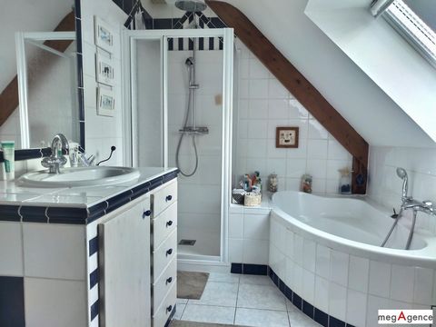 photo no. 11