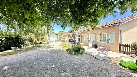 photo no. 2