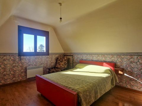 photo no. 11