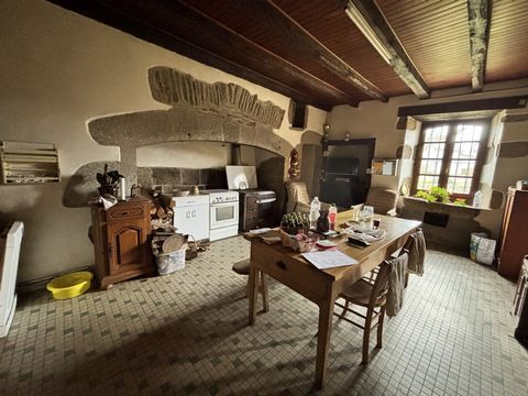 photo no. 9