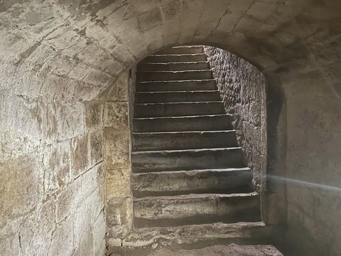 photo no. 15