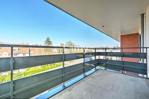 photo no. 2