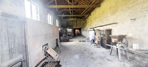 photo no. 5
