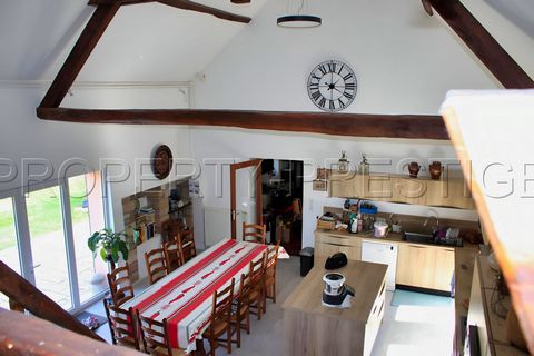 photo no. 6