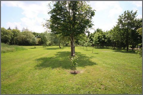 photo no. 14
