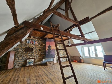 photo no. 7