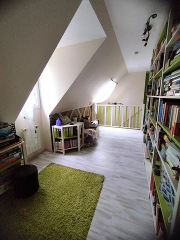 photo no. 7