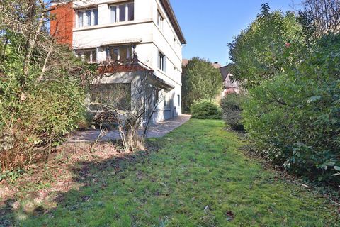 photo no. 2