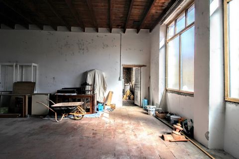 photo no. 7