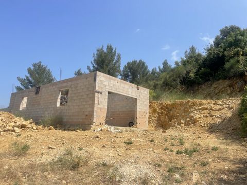 photo no. 1