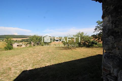 photo no. 5