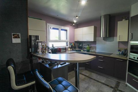 photo no. 8