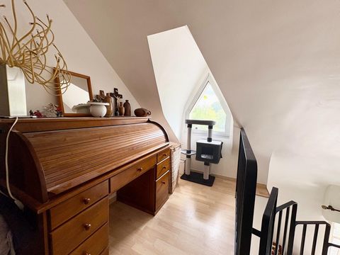 photo no. 14
