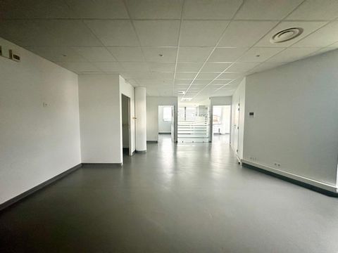 photo no. 5