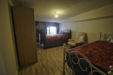 photo no. 7