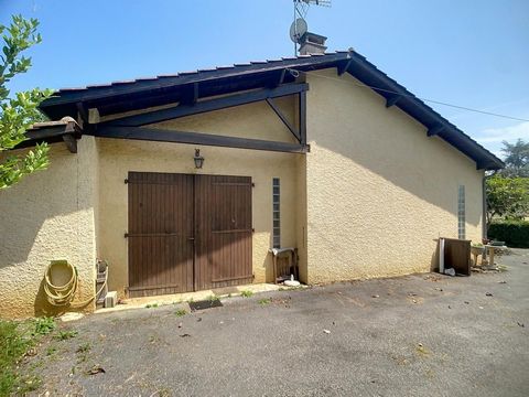 photo no. 6