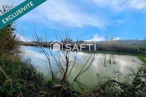 photo no. 3