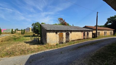 photo no. 12