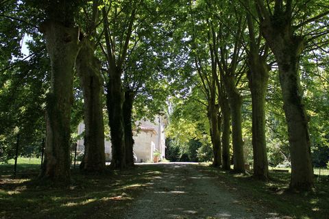 photo no. 2